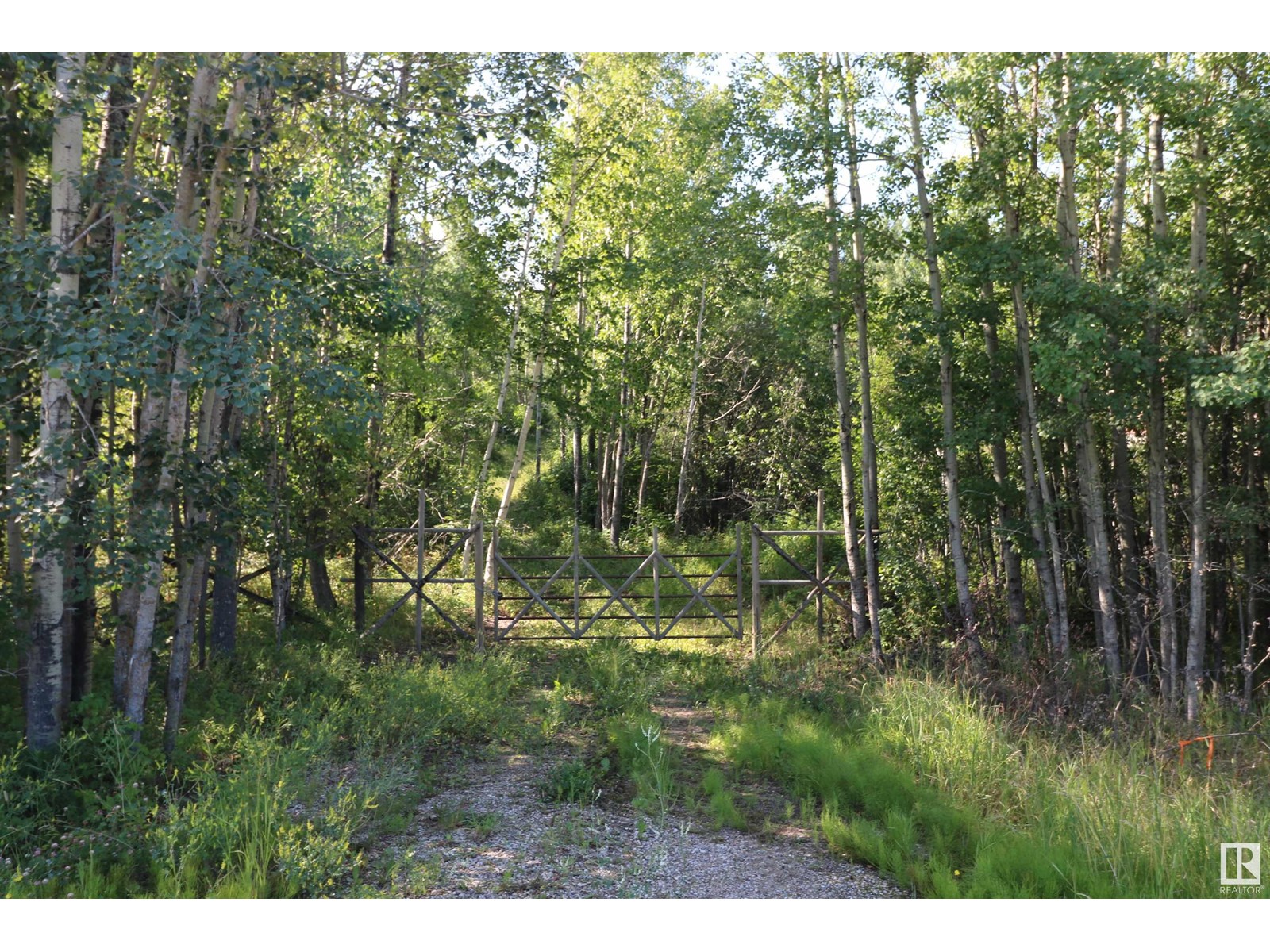 54425 Ste Anne Trail, Rural Lac Ste. Anne County, Alberta  T0E 0A1 - Photo 4 - E4421833