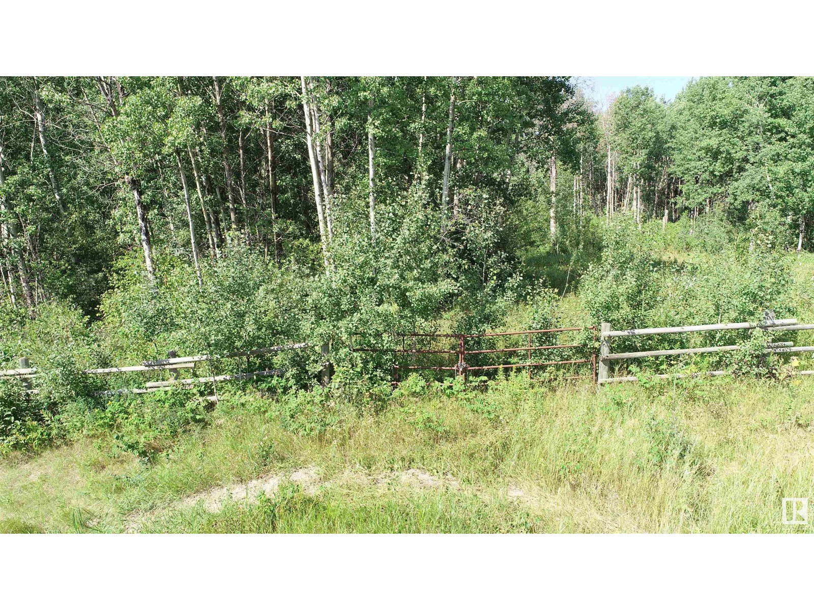 54425 Ste Anne Trail, Rural Lac Ste. Anne County, Alberta  T0E 0A1 - Photo 5 - E4421833
