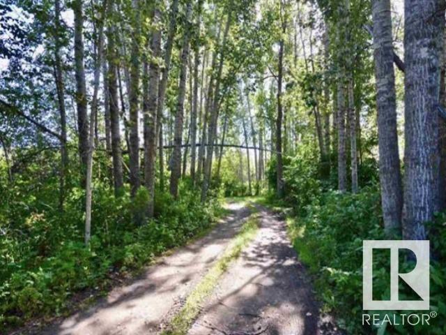 5101 Lakeshore Rd, Rural Parkland County, Alberta  T0E 2B0 - Photo 6 - E4422015