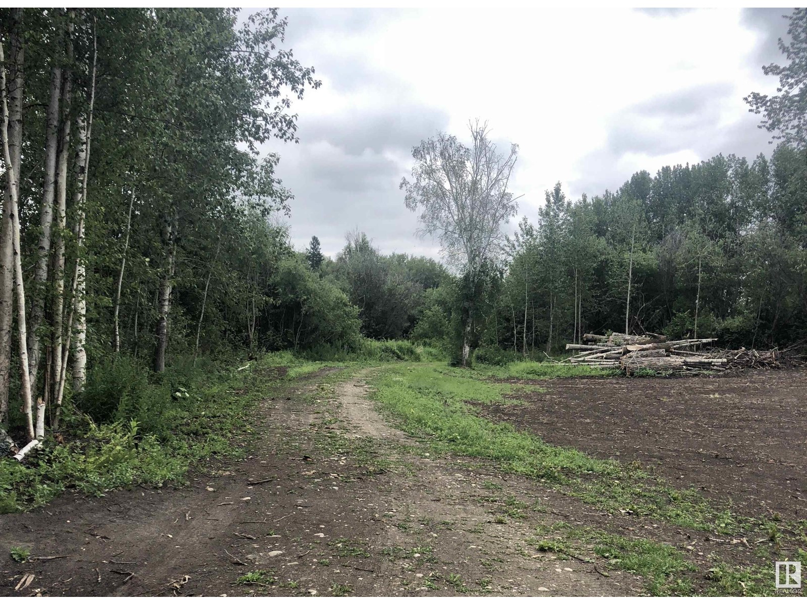 5101 Lakeshore Rd, Rural Parkland County, Alberta  T0E 2B0 - Photo 9 - E4422015