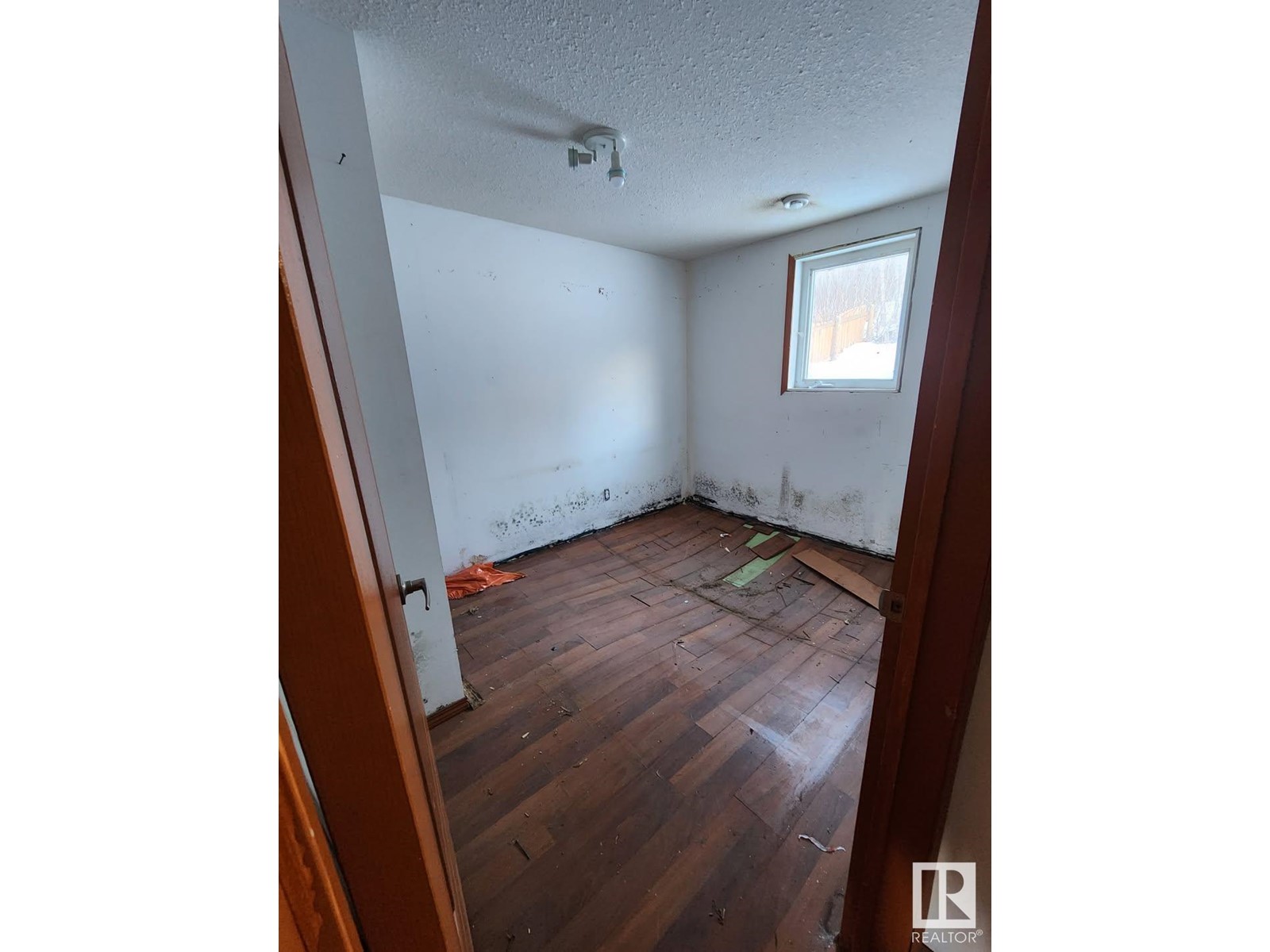 9914 101 Av, Rural Lac Ste. Anne County, Alberta  T0E 0L0 - Photo 16 - E4422697