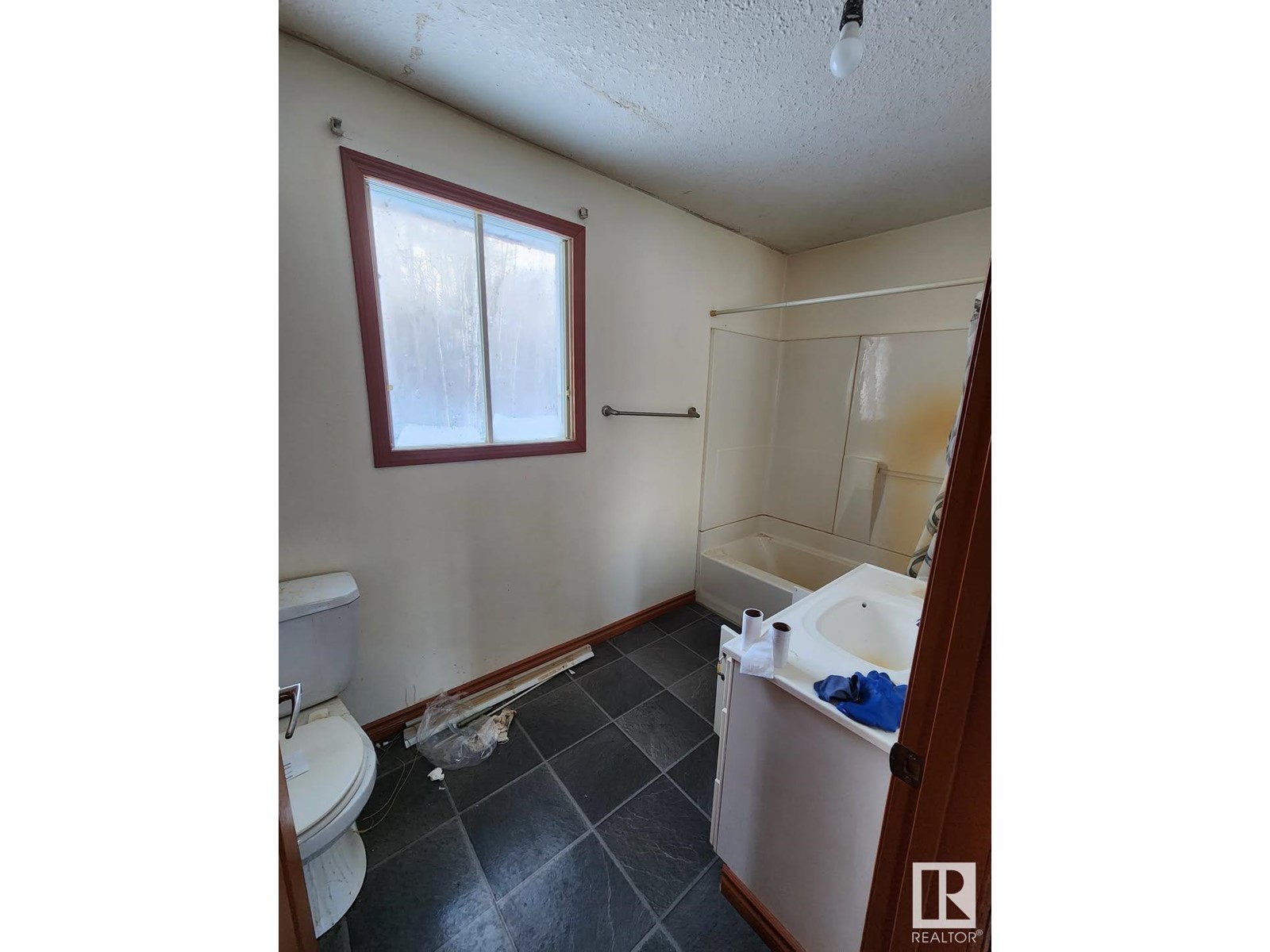 9914 101 Av, Rural Lac Ste. Anne County, Alberta  T0E 0L0 - Photo 32 - E4422697