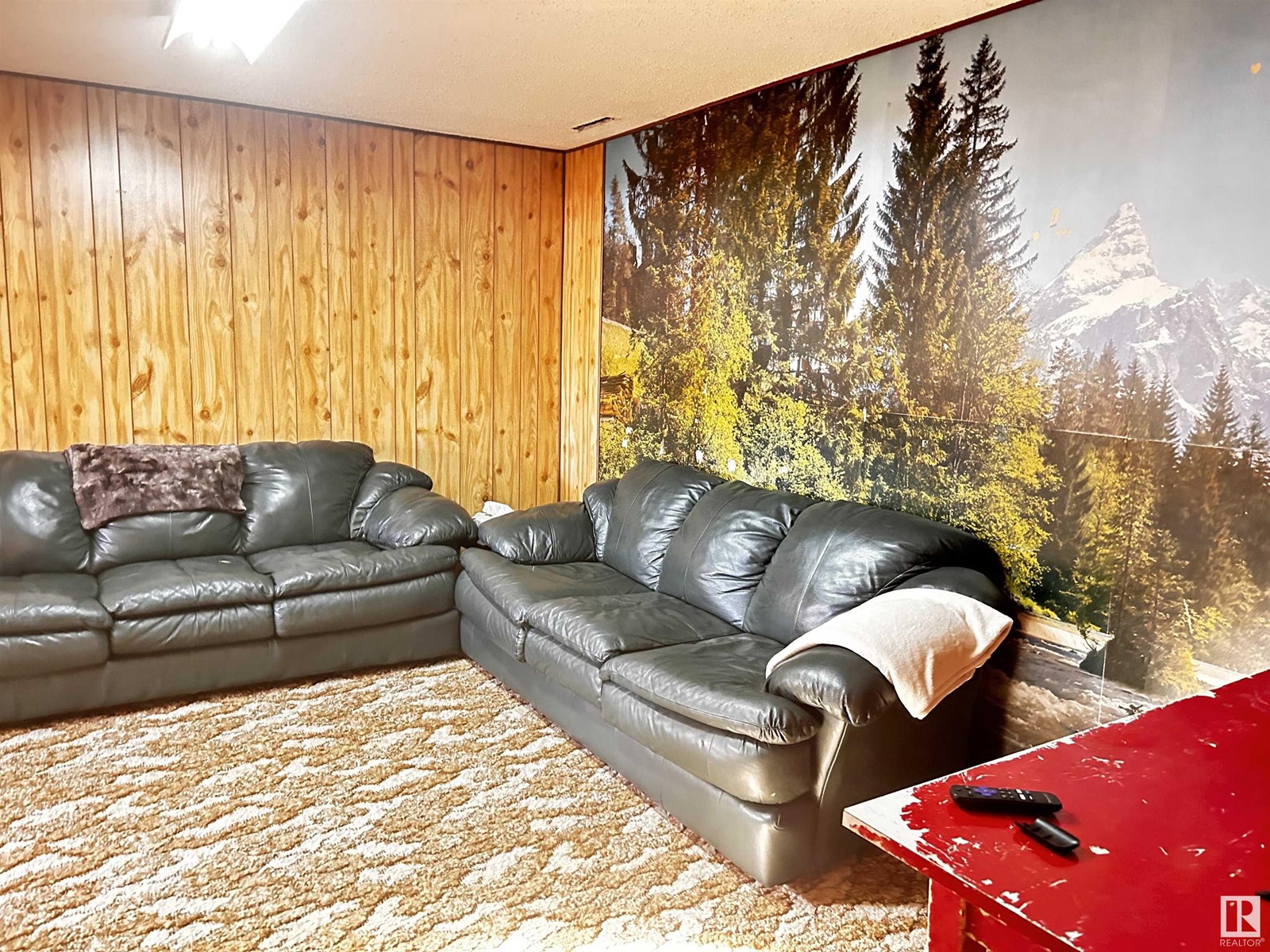 4517 44 Avenue, Drayton Valley, Alberta  T7A 1G7 - Photo 23 - E4422701