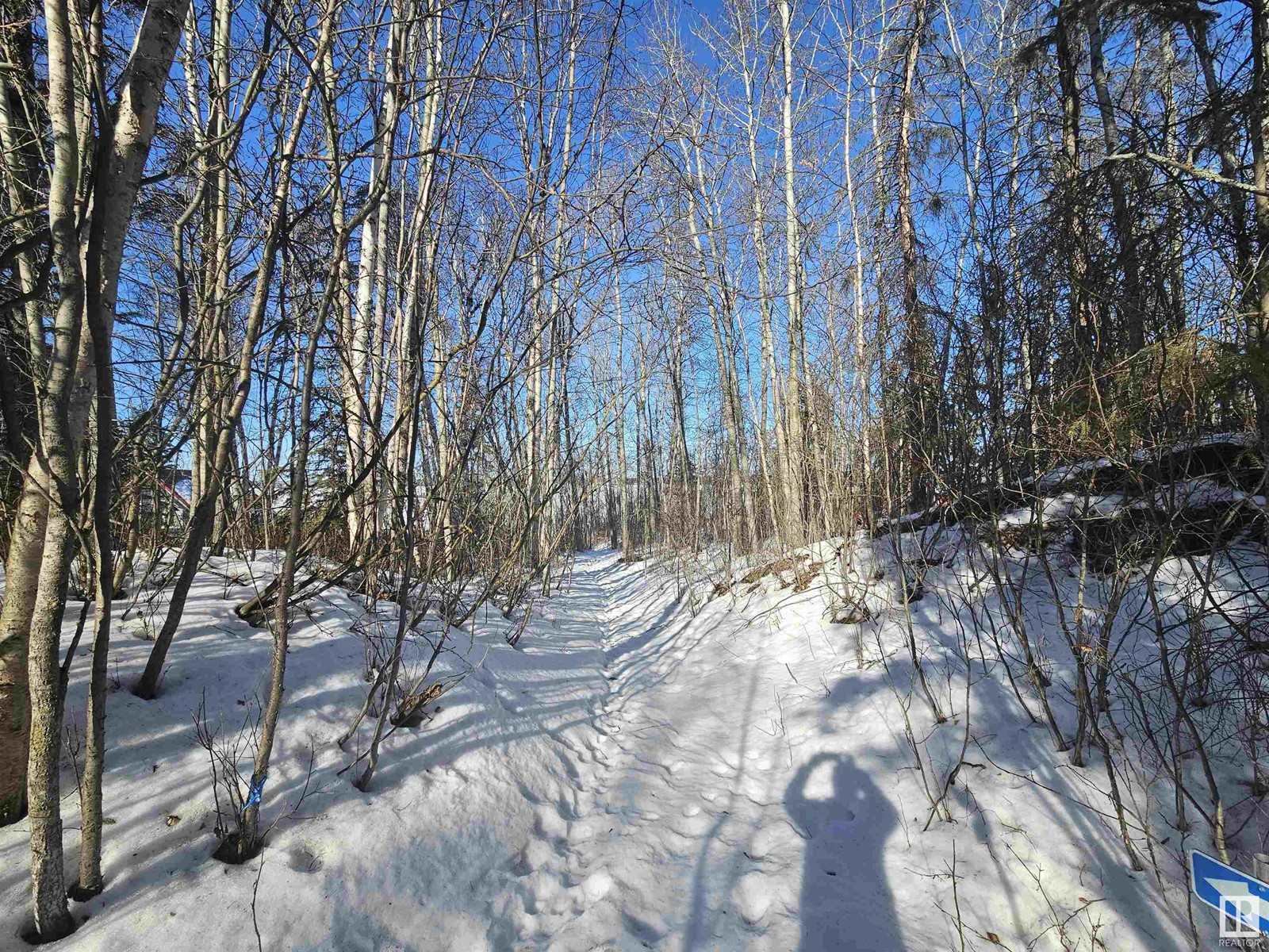 18 Willow Av, Rural Lac Ste. Anne County, Alberta  T0E 0V0 - Photo 38 - E4422904