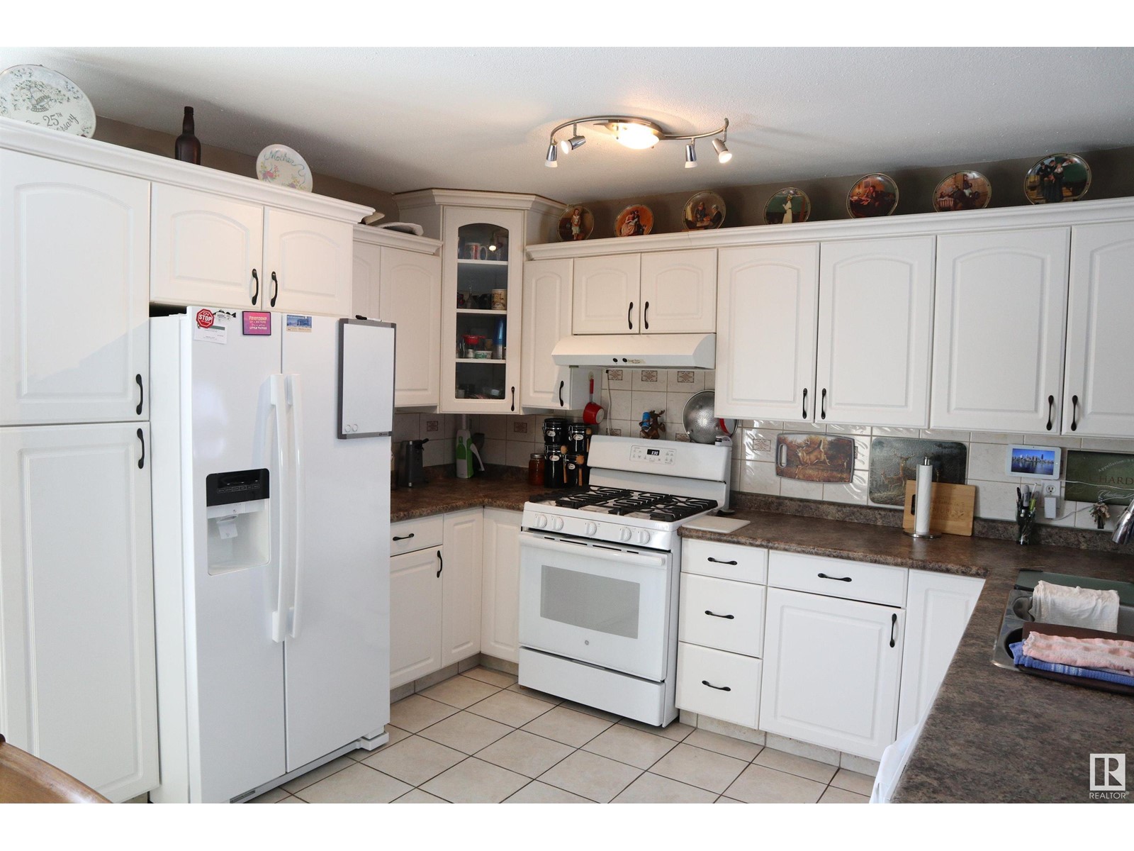 #172 55062 Twp Road 462, Rural Wetaskiwin County, Alberta  T0C 0T0 - Photo 10 - E4422926