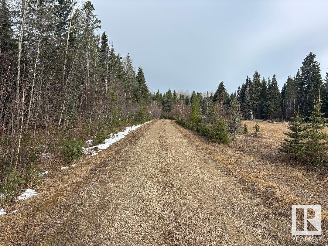 452074 Rge Road 73, Rural Wetaskiwin County, Alberta  T0C 0A0 - Photo 34 - E4423204