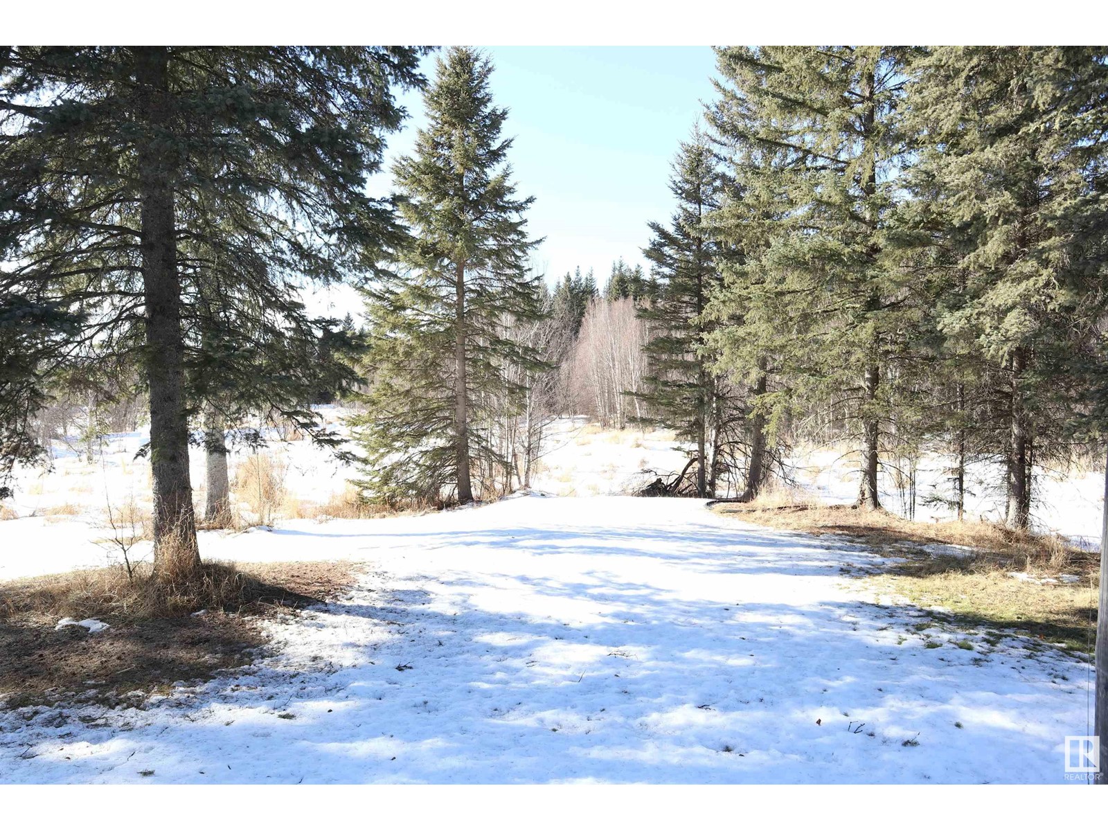 452074 Rge Road 73, Rural Wetaskiwin County, Alberta  T0C 0A0 - Photo 41 - E4423204