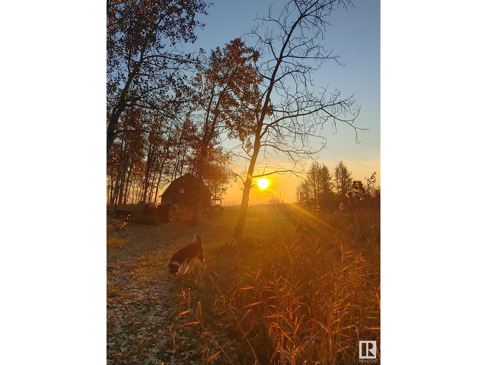 6021 Twp Road 571, Rural Lac Ste. Anne County, Alberta  T0E 0J0 - Photo 7 - E4423493