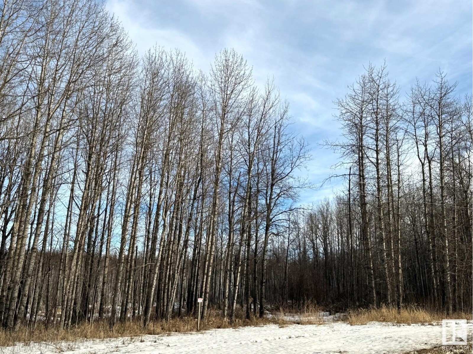 51501 Rrd 73, Rural Parkland County, Alberta  T7A 1R6 - Photo 2 - E4423587