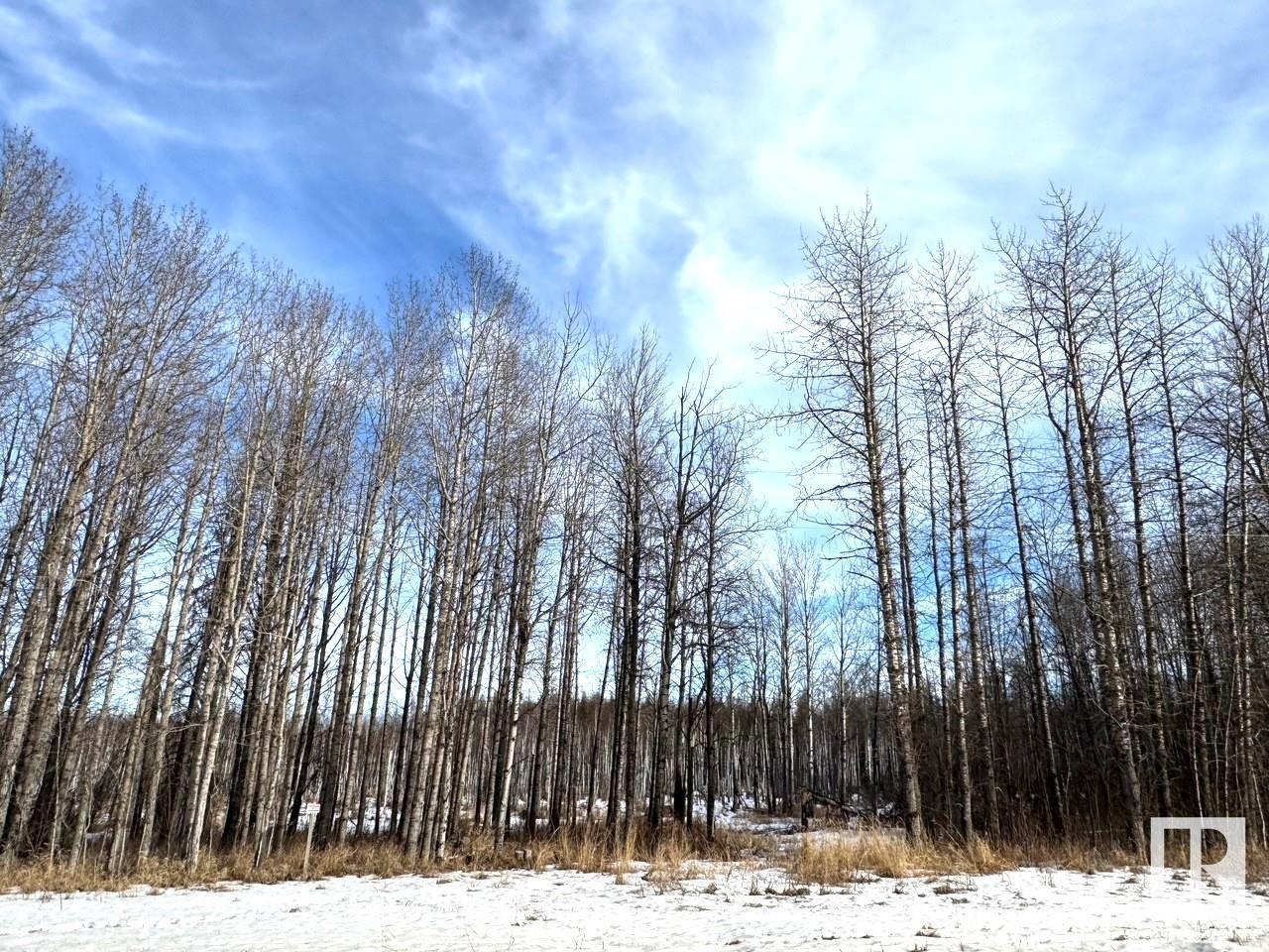 51501 Rrd 73, Rural Parkland County, Alberta  T7A 1R6 - Photo 3 - E4423587