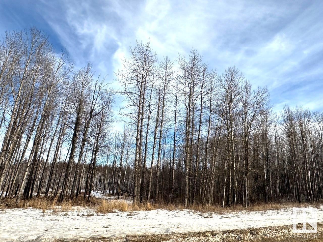 51501 Rrd 73, Rural Parkland County, Alberta  T7A 1R6 - Photo 4 - E4423587