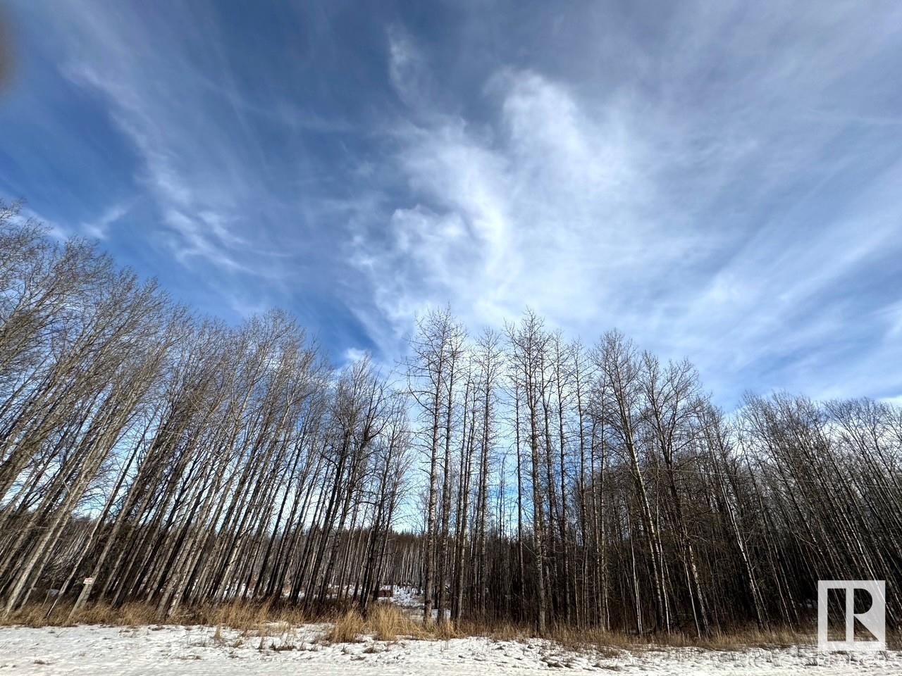 51501 Rrd 73, Rural Parkland County, Alberta  T7A 1R6 - Photo 5 - E4423587