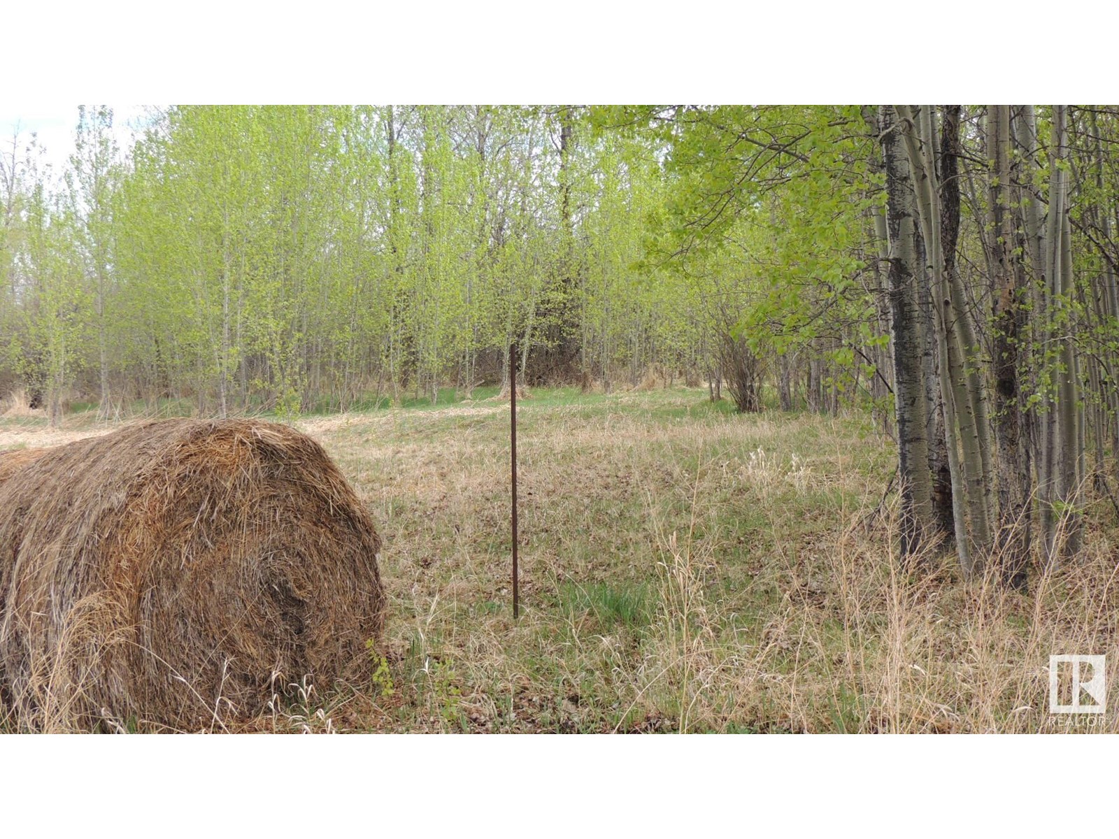 610-56102 Range Road 53, Cherhill, Alberta  T0E 0J0 - Photo 10 - E4423623