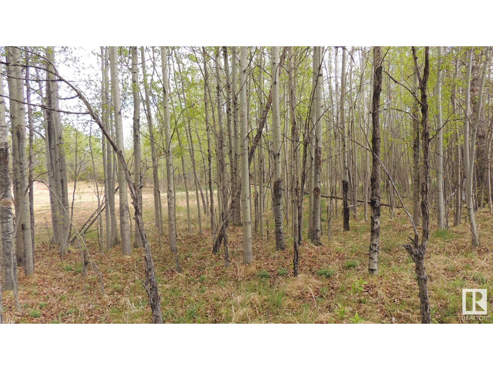 610-56102 Range Road 53, Cherhill, Alberta  T0E 0J0 - Photo 5 - E4423623