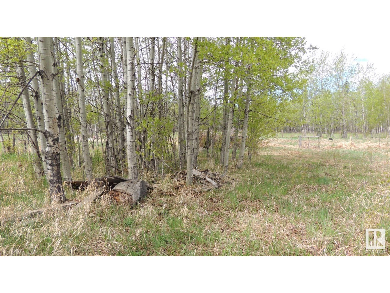 610-56102 Range Road 53, Cherhill, Alberta  T0E 0J0 - Photo 6 - E4423623