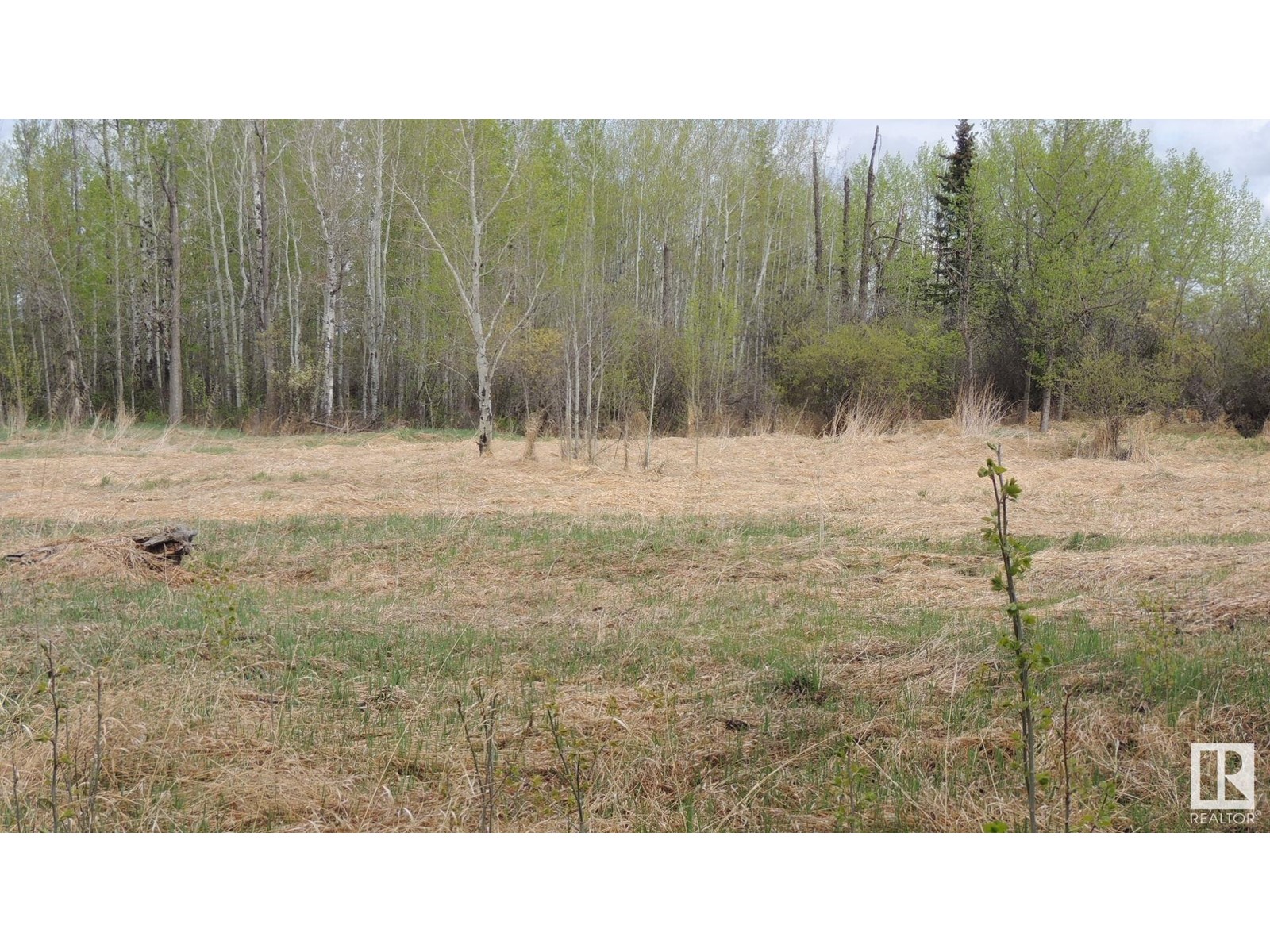 610-56102 Range Road 53, Cherhill, Alberta  T0E 0J0 - Photo 8 - E4423623