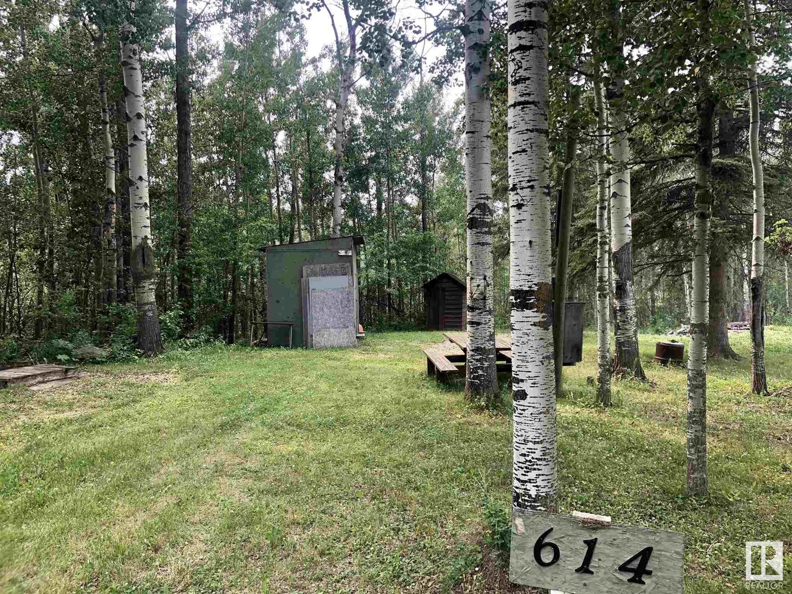 614 6 St, Rural Wetaskiwin County, Alberta  T0C 2V0 - Photo 2 - E4424121