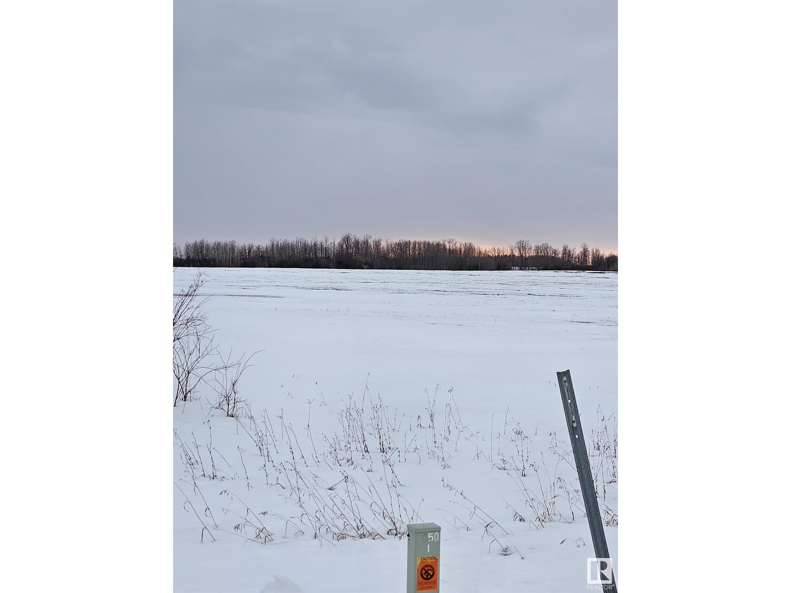 Rr271 Twp 494, Rural Leduc County, Alberta  T0C 0V0 - Photo 4 - E4424381