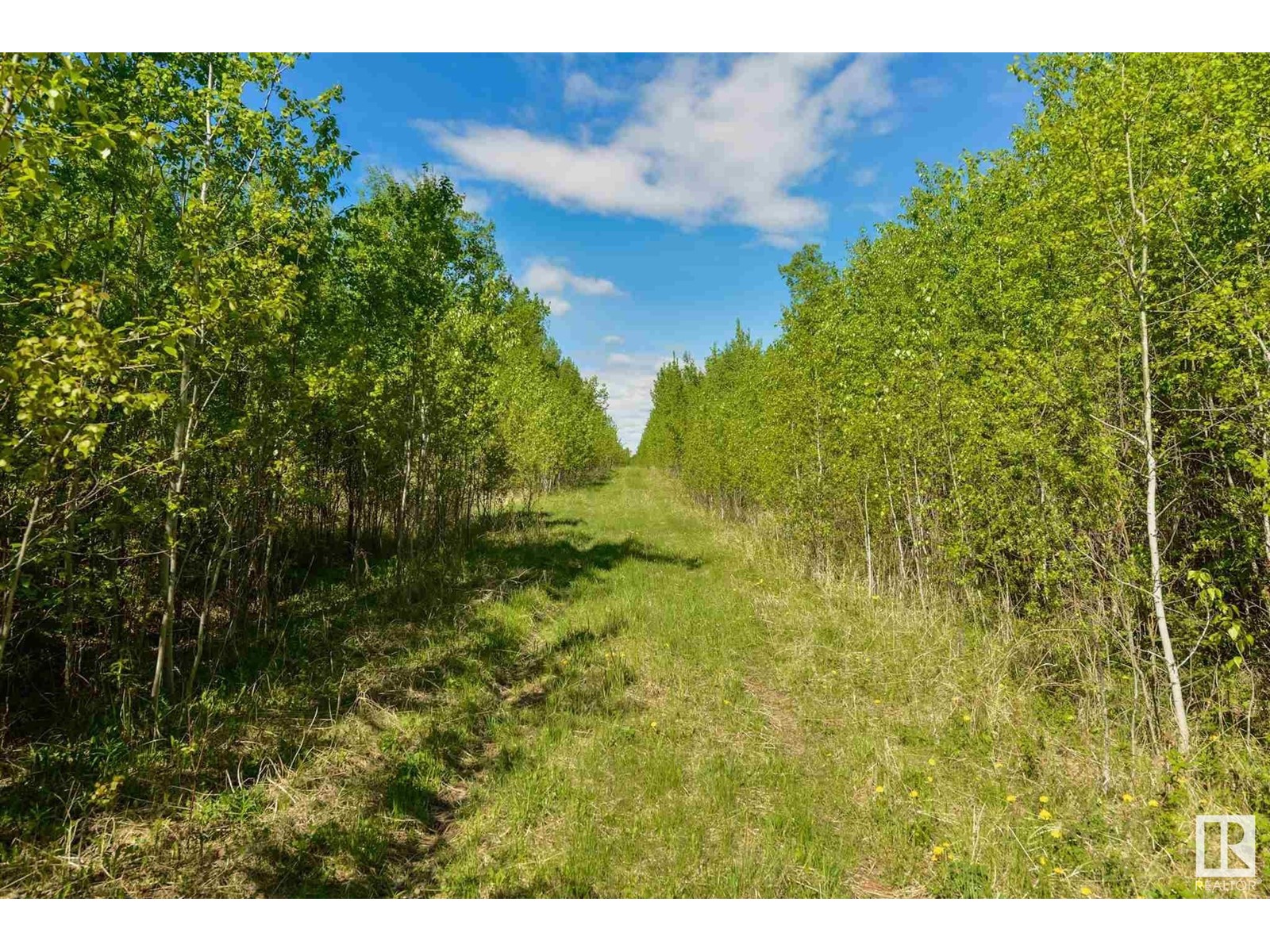 Rr 51 Twp Rd 550, Rural Lac Ste. Anne County, Alberta  T0E 0N0 - Photo 3 - E4424494