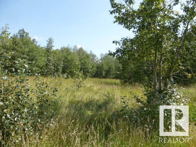 40 26555 Twp 481, Rural Leduc County, Alberta  T0C 0V0 - Photo 4 - E4424951