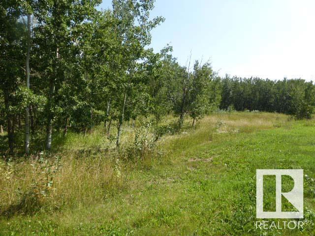 40 26555 Twp 481, Rural Leduc County, Alberta  T0C 0V0 - Photo 5 - E4424951