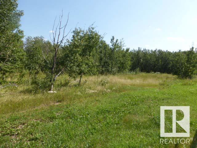 40 26555 Twp 481, Rural Leduc County, Alberta  T0C 0V0 - Photo 6 - E4424951