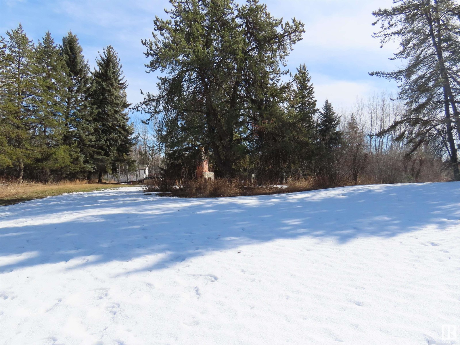 #5240 48 St St, Sangudo, Alberta  T0E 2A0 - Photo 6 - E4425106