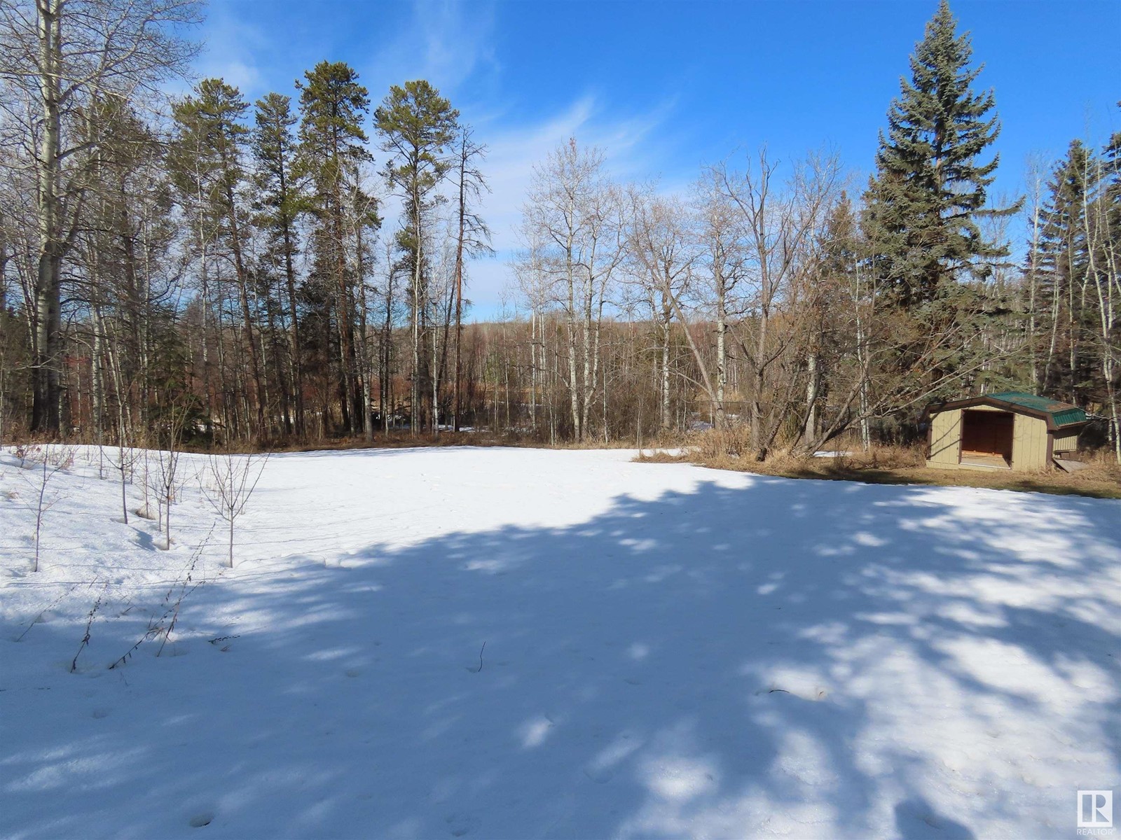 #5240 48 St St, Sangudo, Alberta  T0E 2A0 - Photo 8 - E4425106