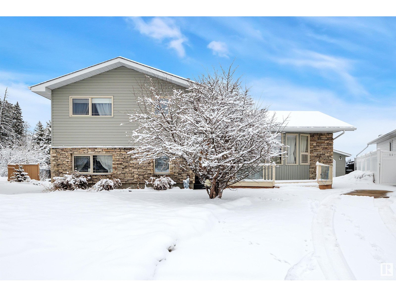 103 Hillside Pl Nw, Millet, Alberta  T0C 1Z0 - Photo 3 - E4425153