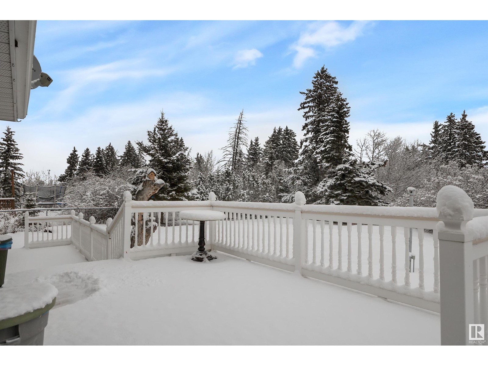 103 Hillside Pl Nw, Millet, Alberta  T0C 1Z0 - Photo 36 - E4425153