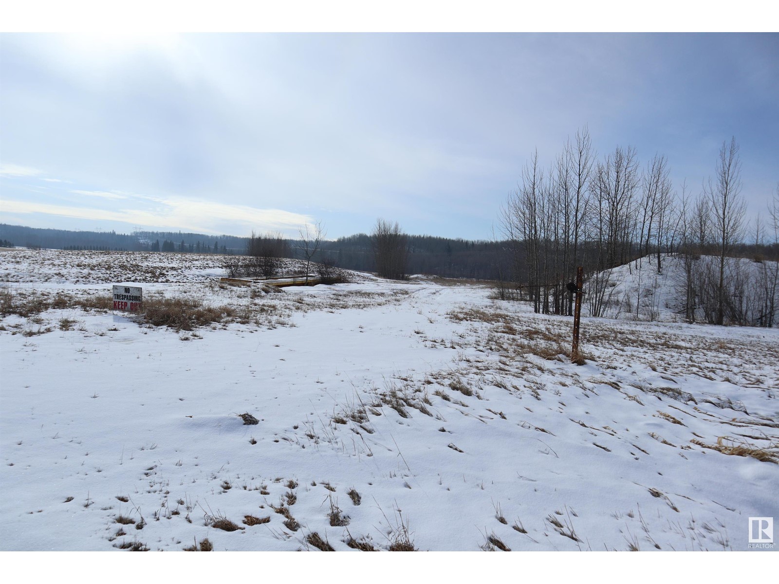 Se-14-51-3-5, Rural Leduc County, Alberta  T0C 2T0 - Photo 3 - E4425412