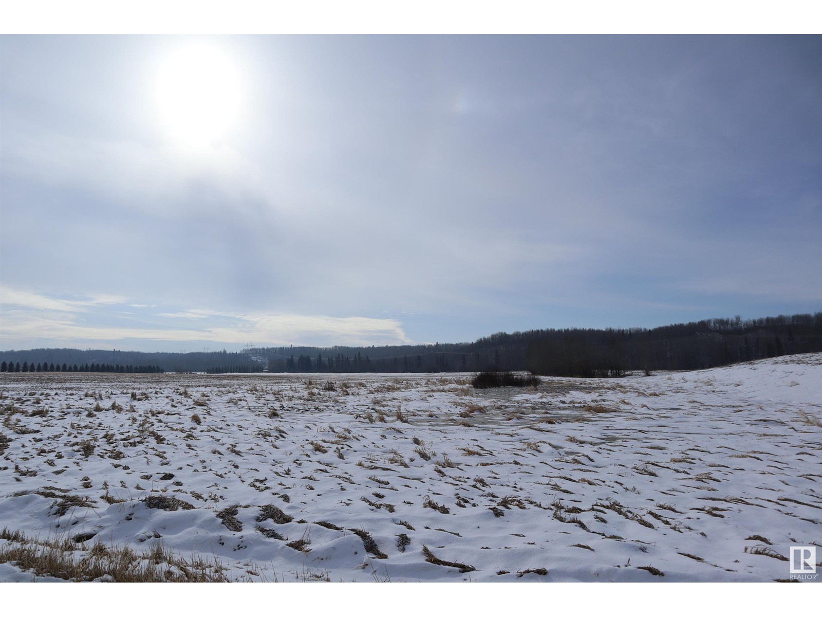 Se-14-51-3-5, Rural Leduc County, Alberta  T0C 2T0 - Photo 7 - E4425412