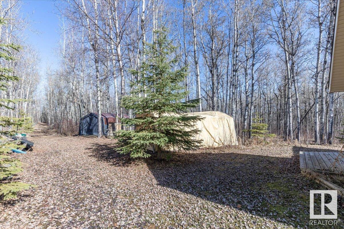 #10 473068 Rge Road 11, Rural Wetaskiwin County, Alberta  T0C 2C0 - Photo 36 - E4425778
