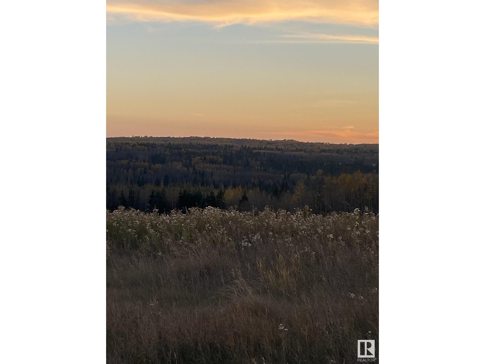 17 River Ridge Es, Rural Wetaskiwin County, Alberta  T0C 2V0 - Photo 8 - E4426180