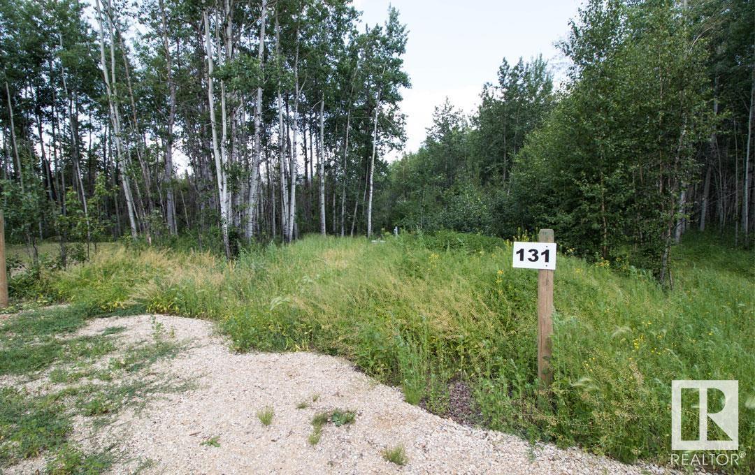 #131 5519 Twp Rd 550, Rural Lac Ste. Anne County, Alberta  T0E 0L0 - Photo 2 - E4426717