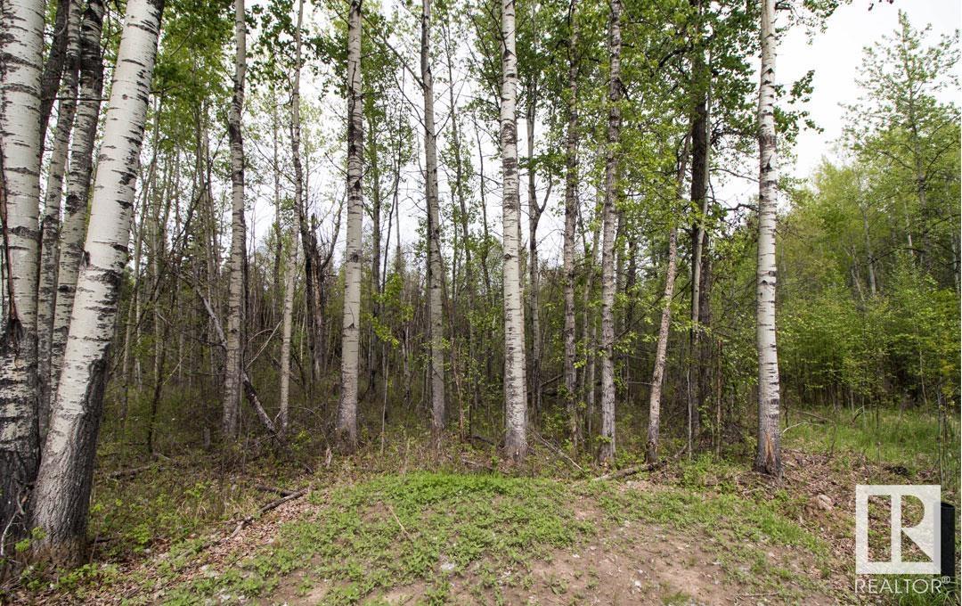#131 5519 Twp Rd 550, Rural Lac Ste. Anne County, Alberta  T0E 0L0 - Photo 5 - E4426717
