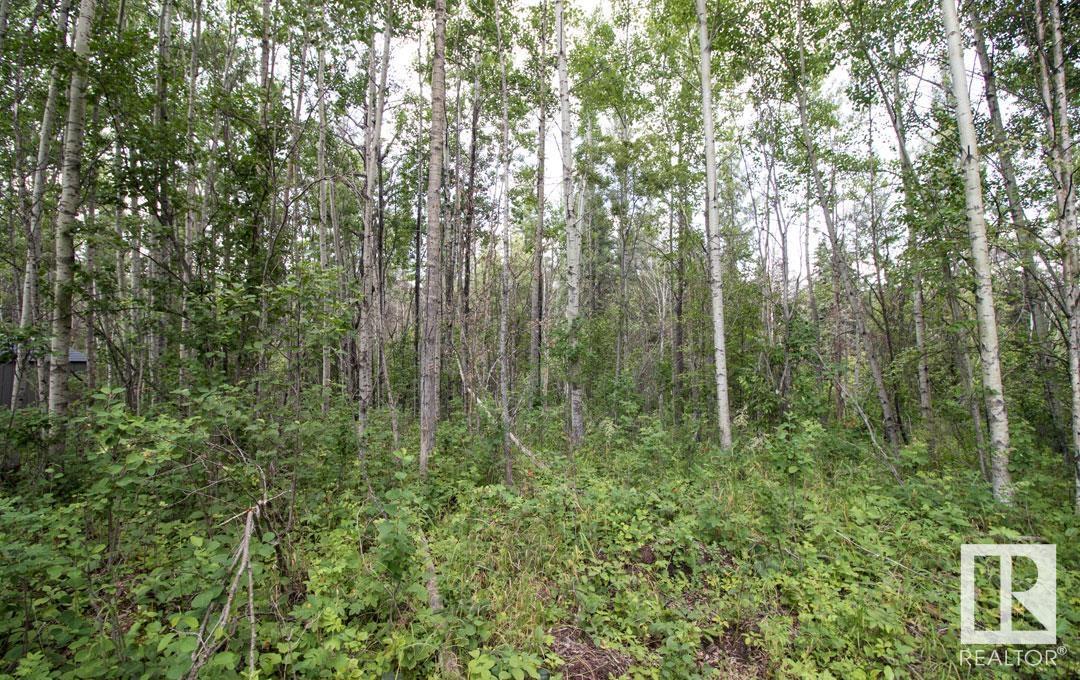 #133 5519 Twp Rd 550, Rural Lac Ste. Anne County, Alberta  T0E 0L0 - Photo 4 - E4426719
