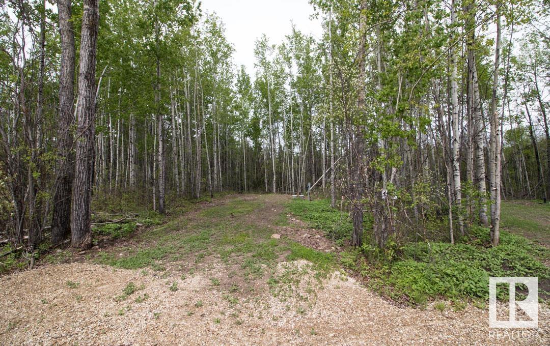 #133 5519 Twp Rd 550, Rural Lac Ste. Anne County, Alberta  T0E 0L0 - Photo 7 - E4426719