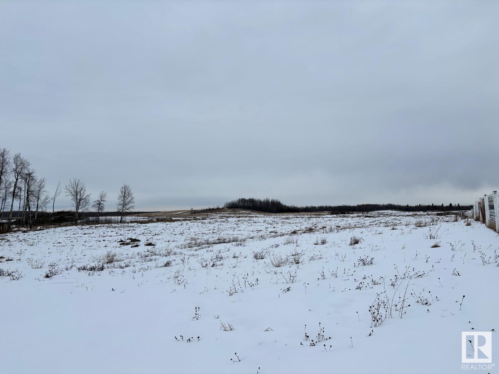 Range Road 64, Rural Brazeau County, Alberta  T7A 2A2 - Photo 4 - E4426944