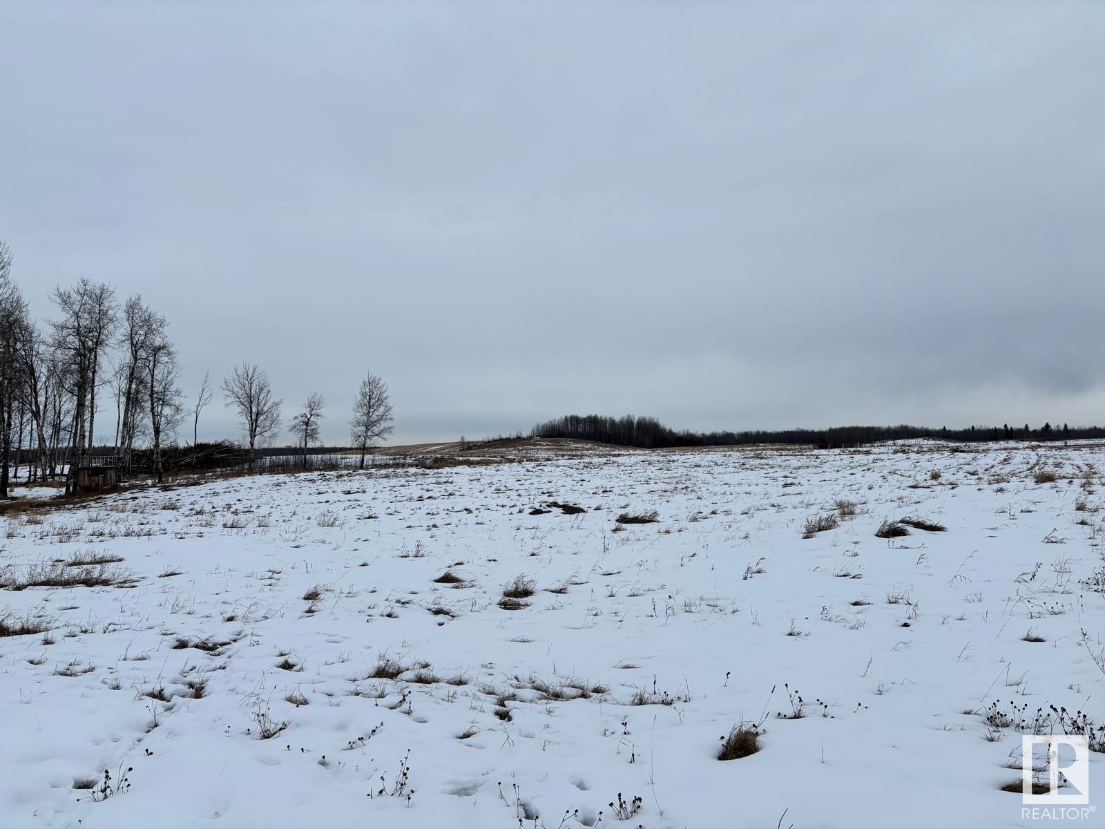 Range Road 64, Rural Brazeau County, Alberta  T7A 2A2 - Photo 5 - E4426944