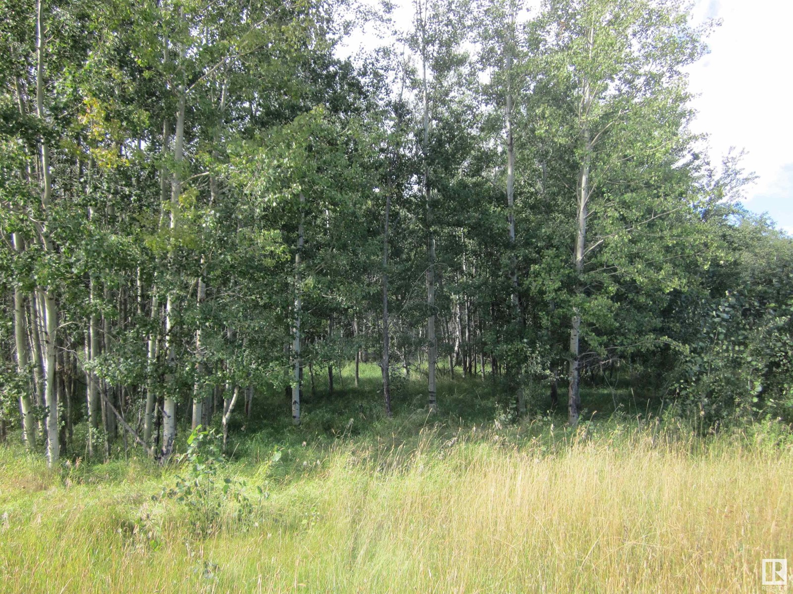 544 Twp Rr 20, Rural Lac Ste. Anne County, Alberta  T0E 1V0 - Photo 3 - E4427050