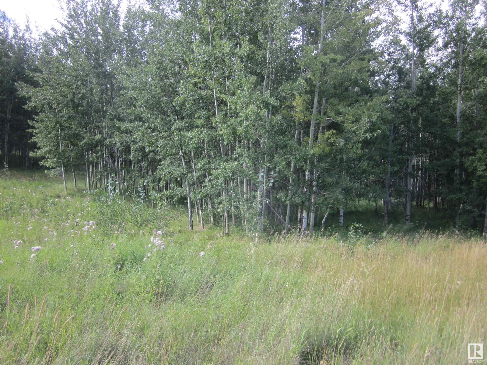 544 Twp Rr 20, Rural Lac Ste. Anne County, Alberta  T0E 1V0 - Photo 4 - E4427050