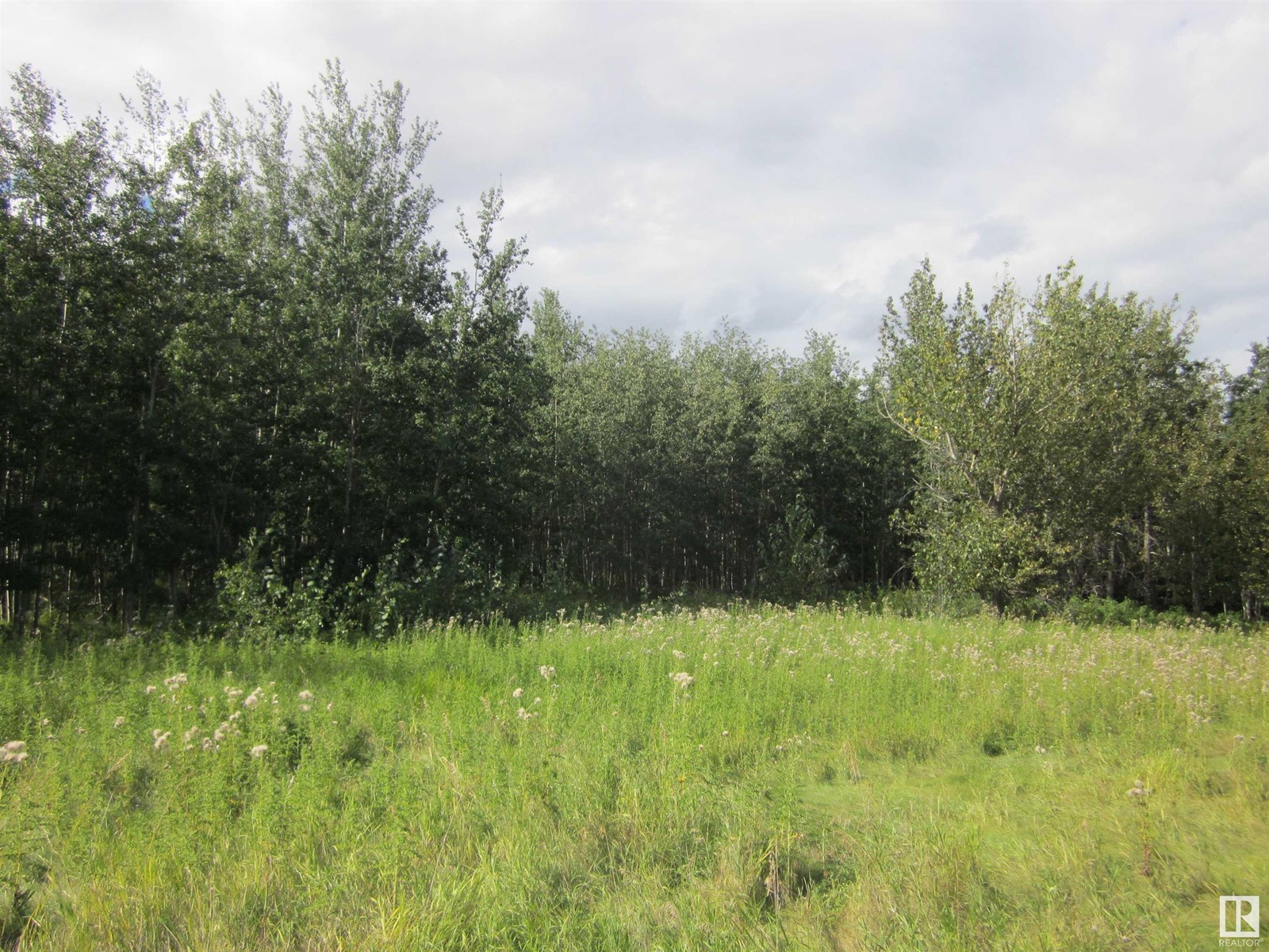 544 Twp Rr 20, Rural Lac Ste. Anne County, Alberta  T0E 1V0 - Photo 5 - E4427050