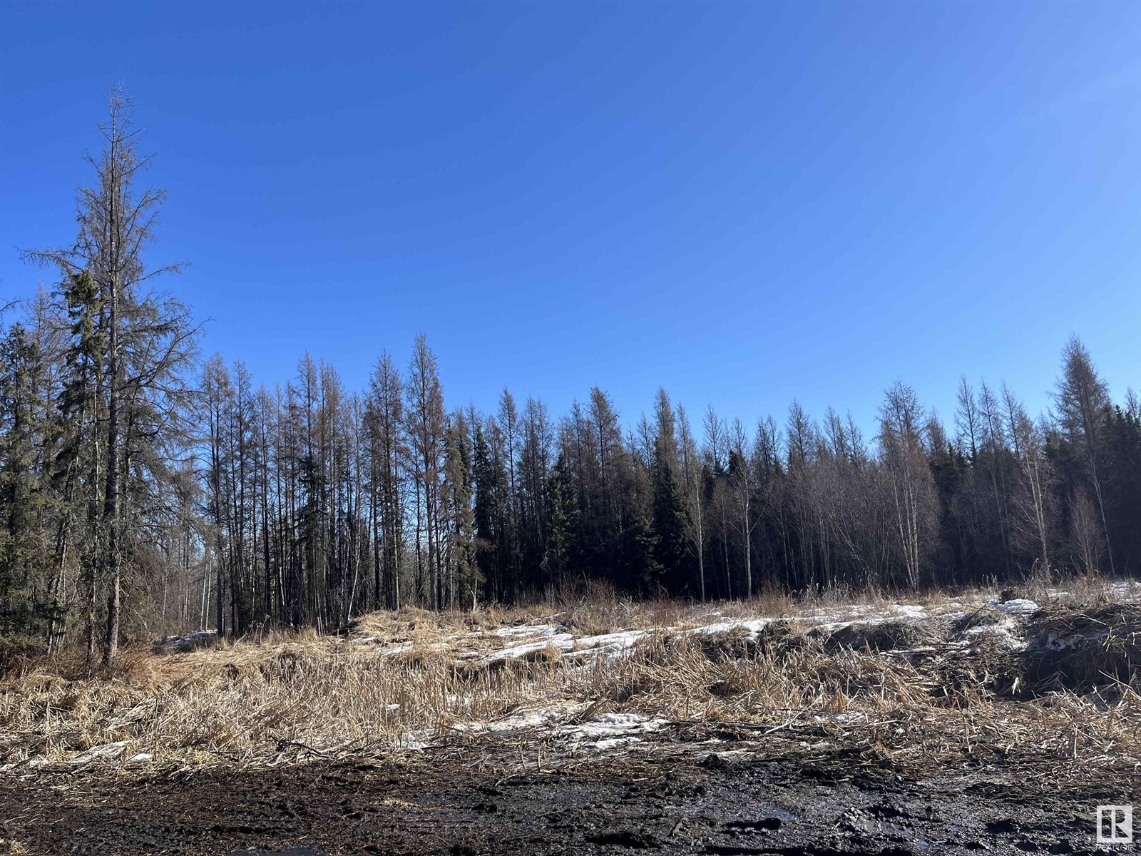 13 4219 Twp Rd 545, Rural Lac Ste. Anne County, Alberta  T0E 0A2 - Photo 10 - E4427195