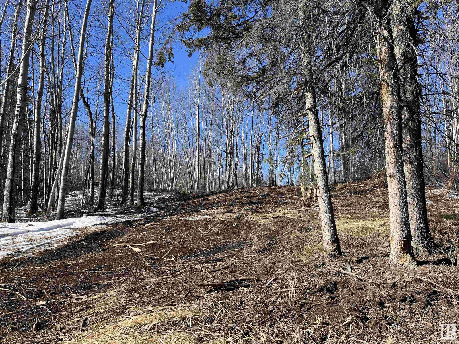 13 4219 Twp Rd 545, Rural Lac Ste. Anne County, Alberta  T0E 0A2 - Photo 11 - E4427195