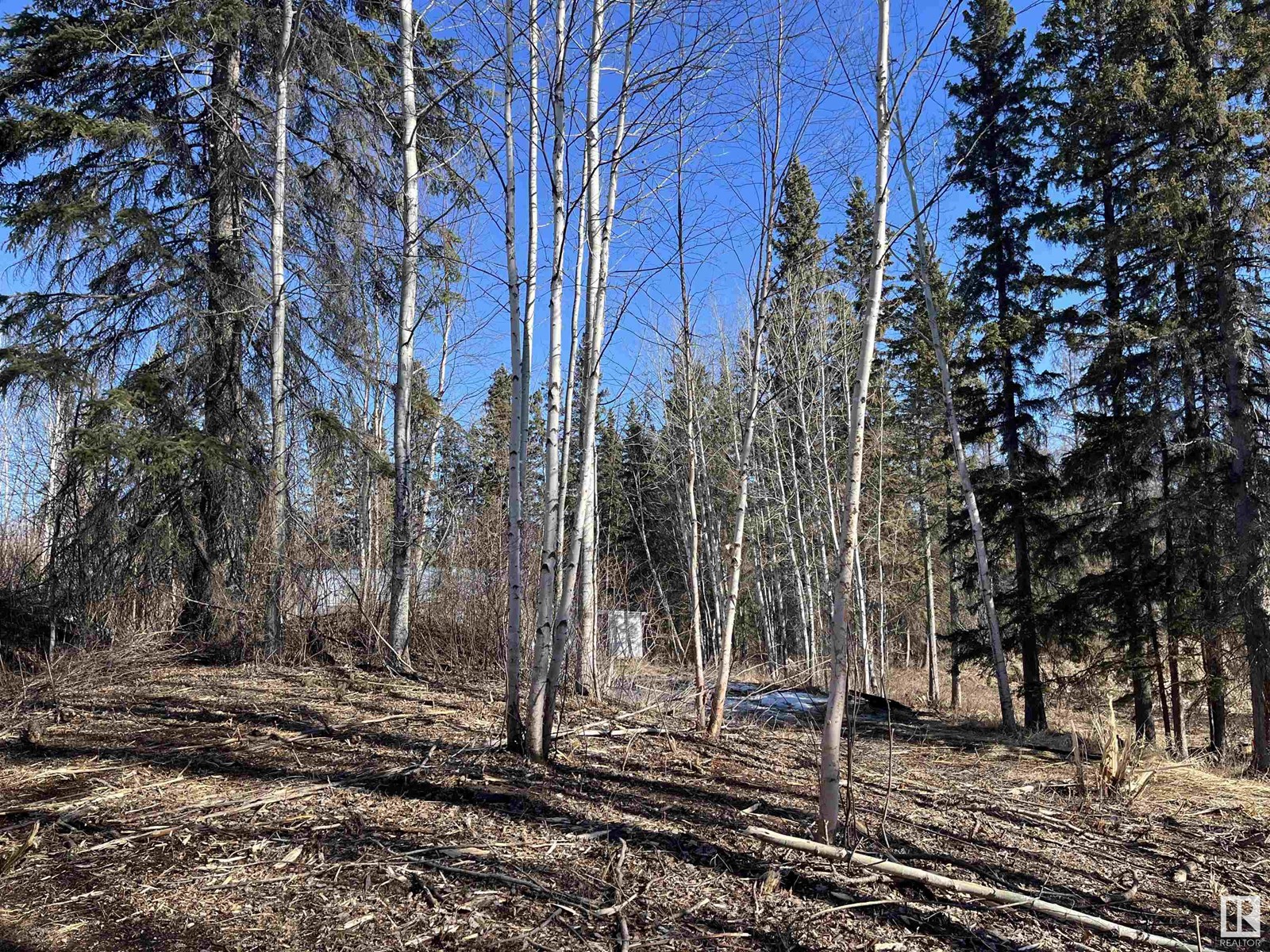 13 4219 Twp Rd 545, Rural Lac Ste. Anne County, Alberta  T0E 0A2 - Photo 13 - E4427195