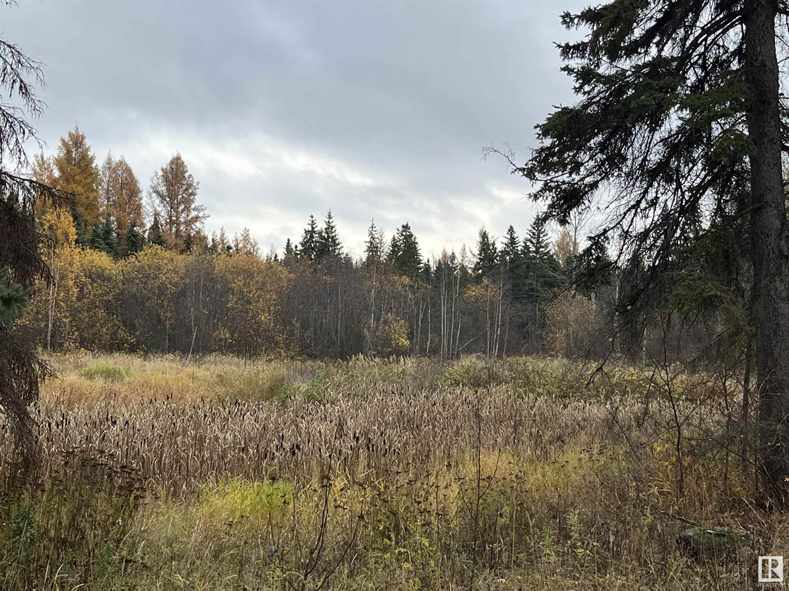 13 4219 Twp Rd 545, Rural Lac Ste. Anne County, Alberta  T0E 0A2 - Photo 7 - E4427195