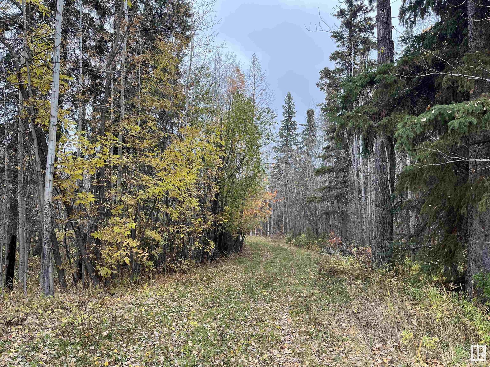 13 4219 Twp Rd 545, Rural Lac Ste. Anne County, Alberta  T0E 0A2 - Photo 8 - E4427195