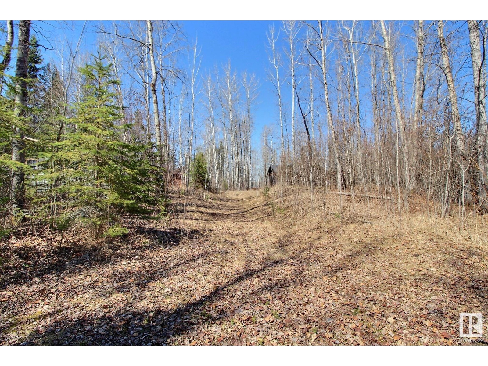 8 Poppy Pl, Rural Lac Ste. Anne County, Alberta  T0E 1H0 - Photo 3 - E4427431