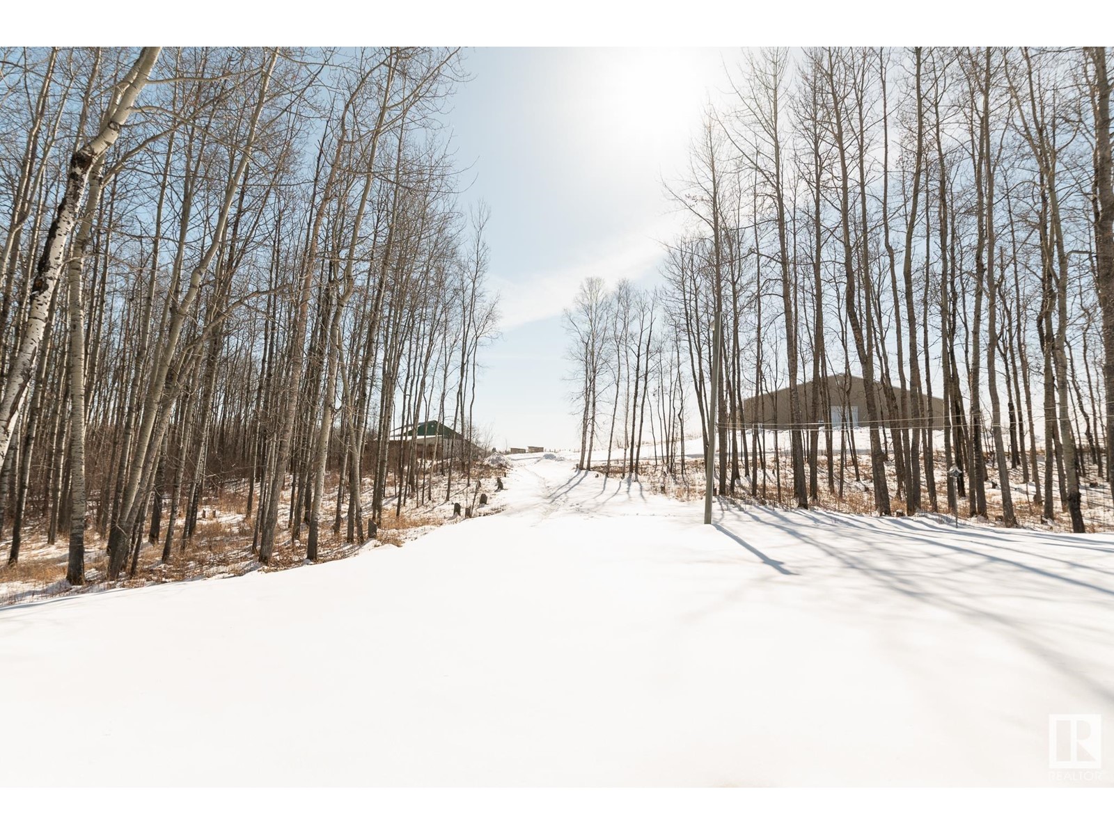 5515 Twp Road 534, Rural Parkland County, Alberta  T0E 0V0 - Photo 3 - E4427434